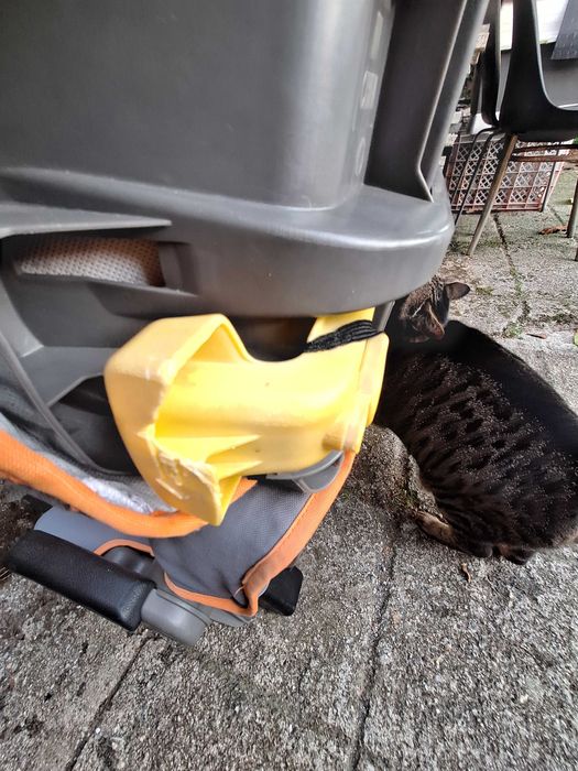 Vendo cadeira auto da marca Zippy (15-36 kg)