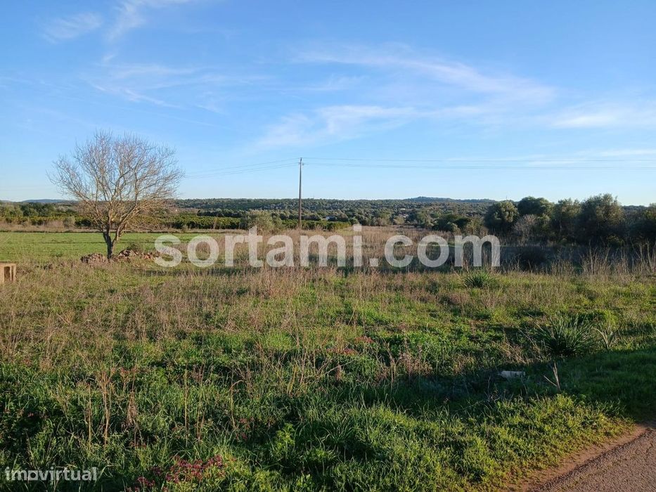 Terreno Rústico  Venda em São Bartolomeu de Messines,Silves — São Bartolomeu de Messines, Faro