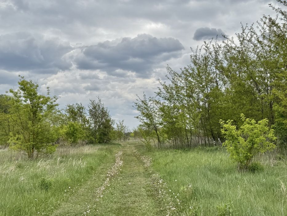 Земельна ділянка фасадна! 3га!! Бориспіль!