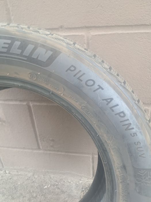Michelin alpin pilot 5