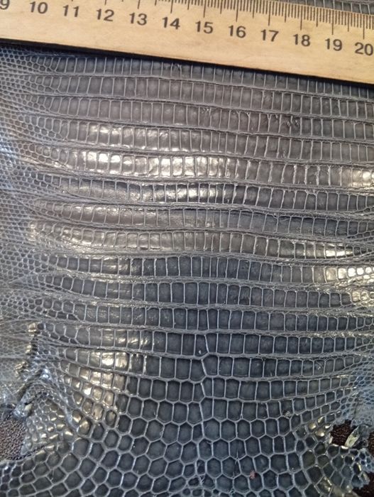 Екзотична шкіра ІГУАНИ