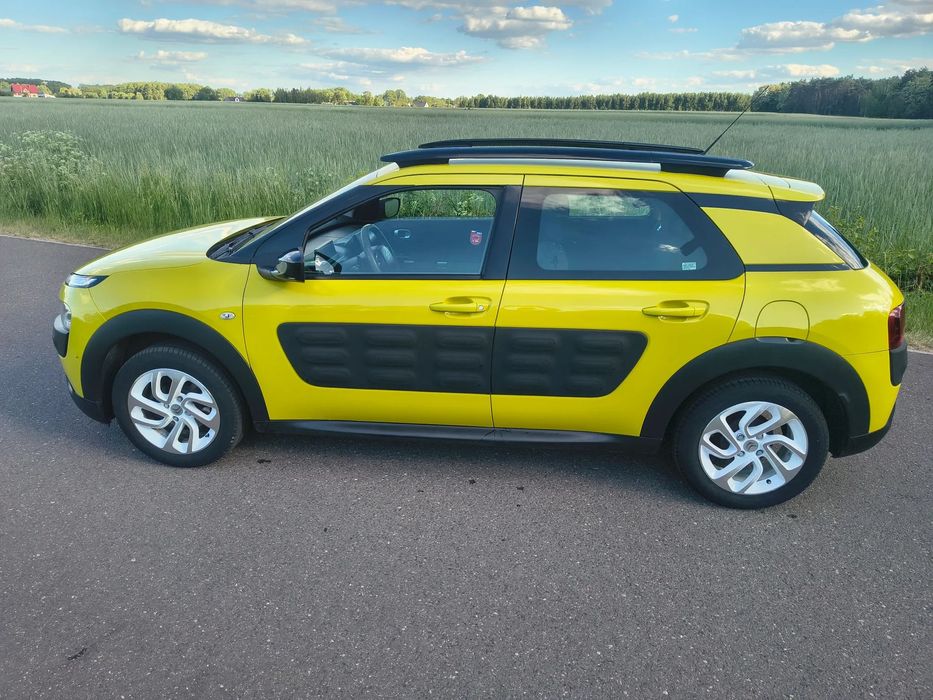 Citron C4 Cactus C4 Cactus 1.2 Pure tech 2015 rok Turek  OLX.pl