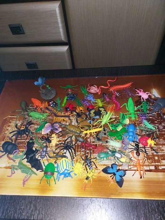 Развивающиц  набор   насекомых   .