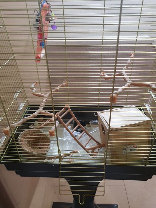 GAIOLA DOURADA com pé alto preto