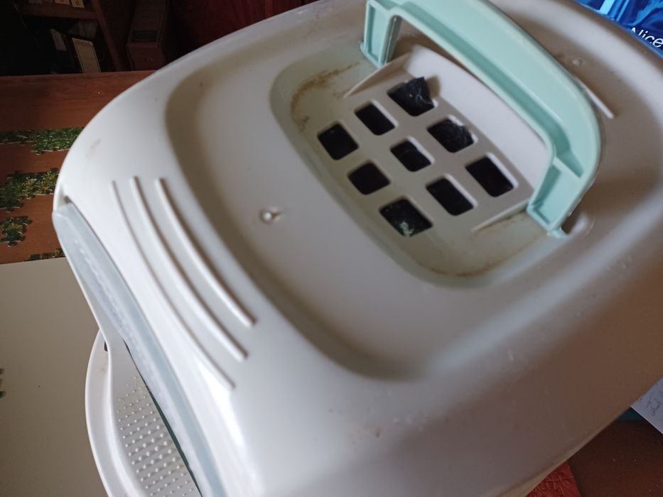 Caixa de areia para gatos