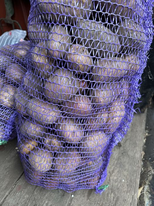 Картопля 15 грн 1кг домашня