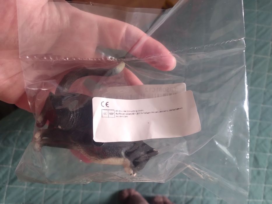 Gato Preto e Branco Sentado