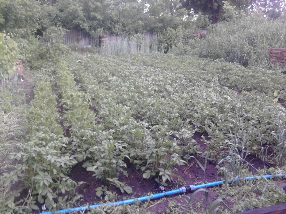Продам будинок в Пісочині (Надточії)