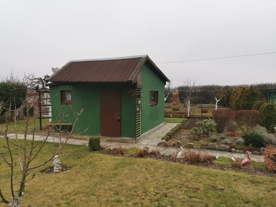 Działka ROD 279m2 Magnolia Grudziądz