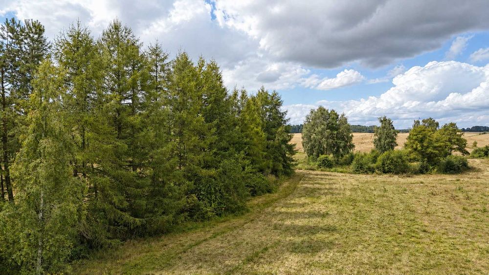 5 działek budowlanych z wydanymi warunkami zabudowy - Więcej