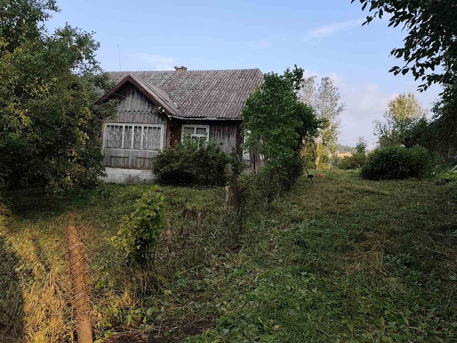 Продам будинок в Карпатах