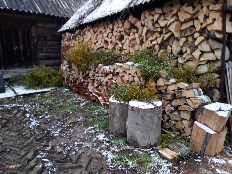 Drewno kominkowe  buk,grab Sezonowane