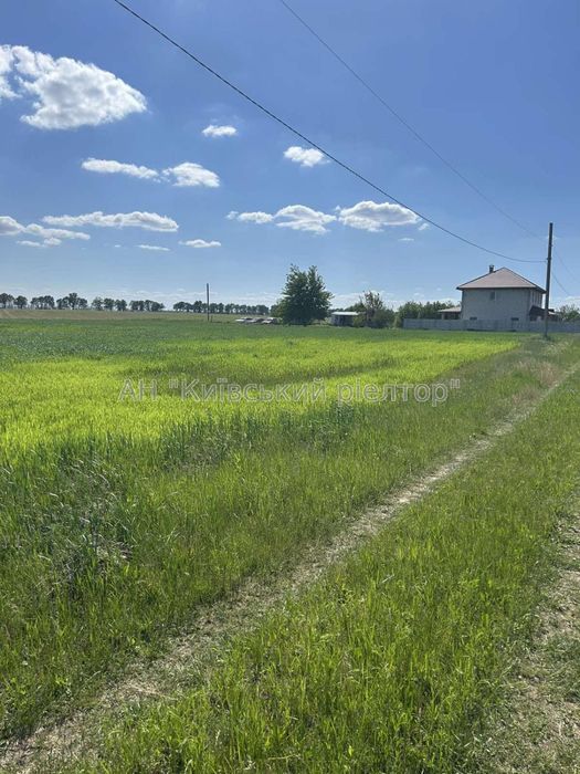 Без %. Продаж земельної ділянки 25 сот, с.Дударків Борисп.р-н