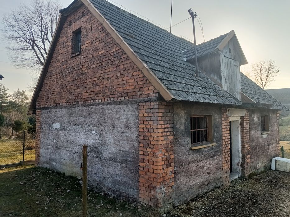 Oddam za darmo bez gruntu