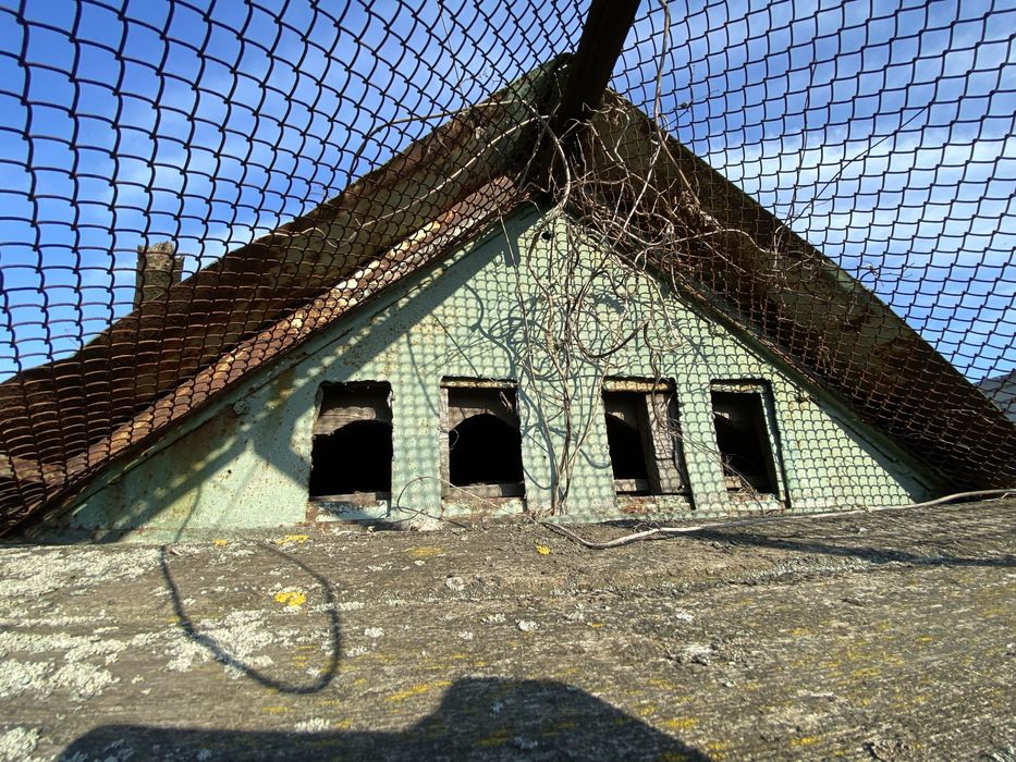 Голубник. Будинок для голубів.