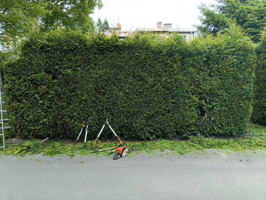 Usługi Ogrodnicze| pielęgnacja , przycinanie