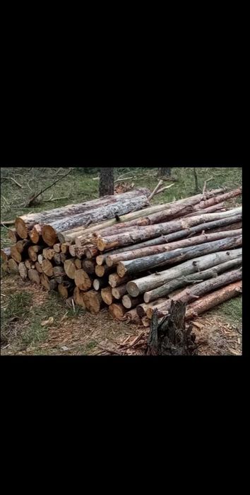 Tanie drewno opałowe sosna gubin okolice