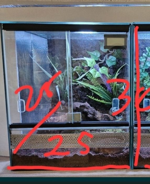 Terrarium 40x25x25