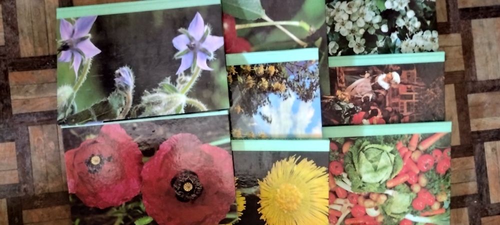 Enciclopédia as plantas nossas amigas