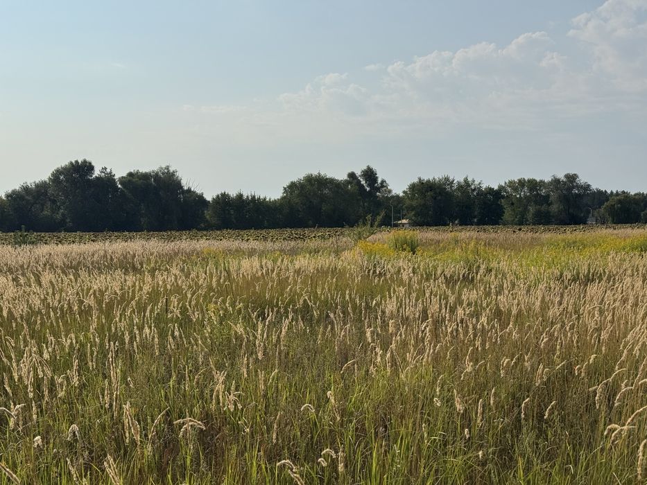 Продам ділянку під житлову забудову  5 соток, с. Рожівка, світло підключено 15 кВт та інтернет,7000$,власник!