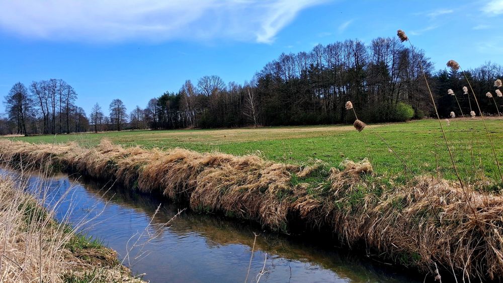 Działki budowlane z bezterminowymi WZ - Widok 4