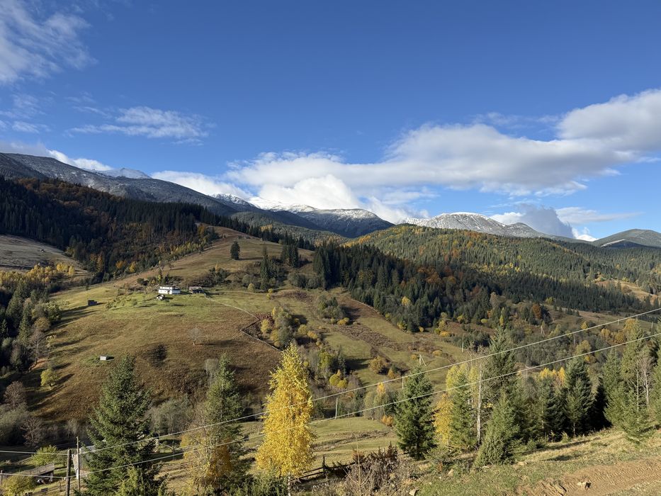 20 соток у Дземброні