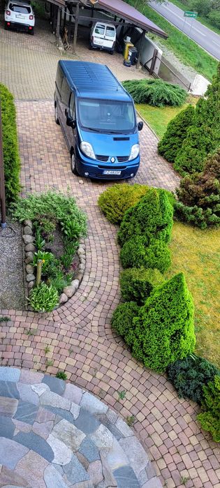 transport osob trafic