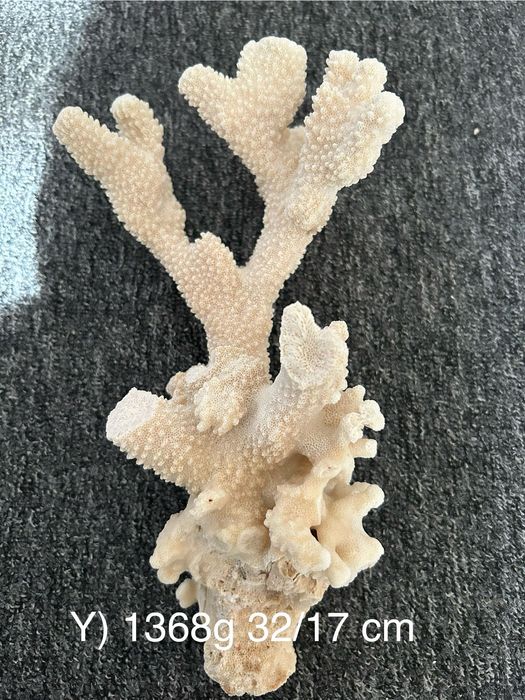 Ozdoba akwariowa N.Y