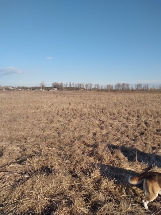 Участок под строительство