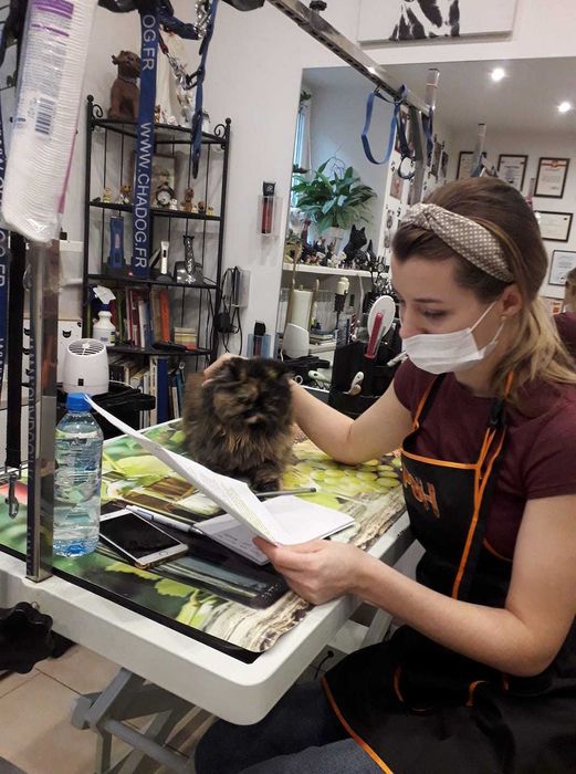 Szkolenie  i seminarium z pielęgnacji Kota