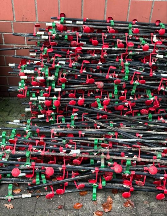 Linie pojenie dla drobiu