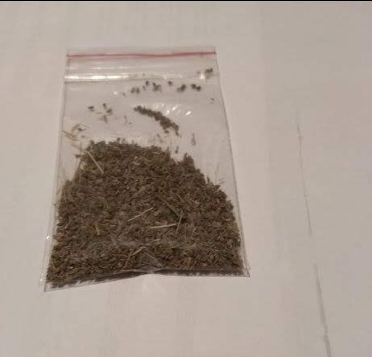 ХОСТА, семена петрушки ,чорнобривців.