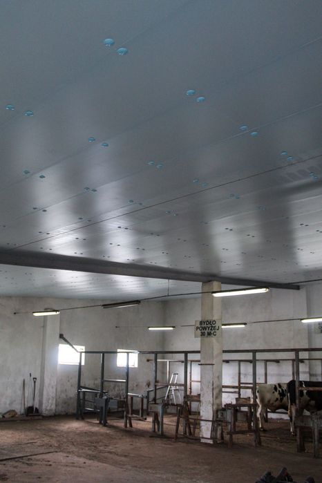 STYRODUR XPS AGRO Ocieplenie Docieplenie Izolacja Dachu Kurnika Obory