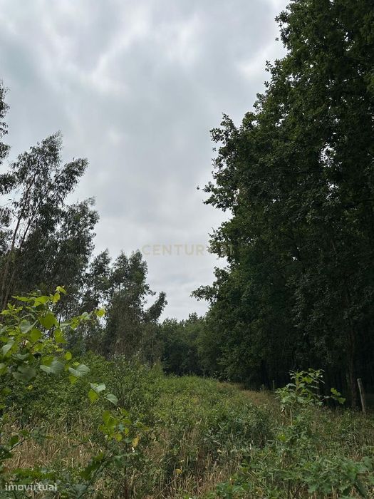Urban Plot in Barrô, Águeda – 1018 m² for Construction