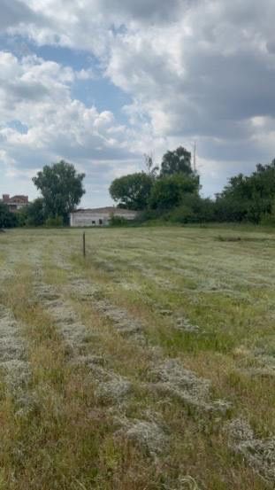 Продам Земельну Ділянку 12сотих,10КВТ електроенергіі,с.Іванків,ЦЕНТР