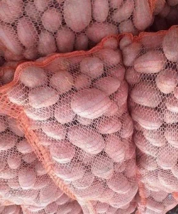 Ziemniaki Bellarosa z własnej uprawy