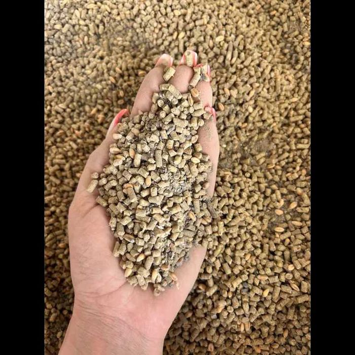 10kg karma dla narybku ryb 4-35cm słodkowodnych granulowana