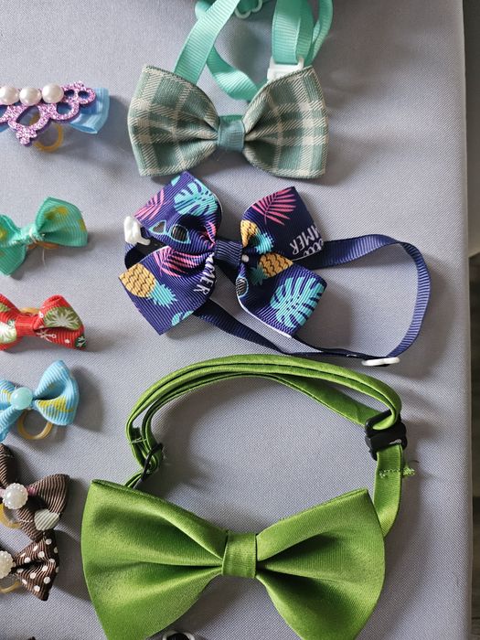 Sprzedam akcesoria dla pieska