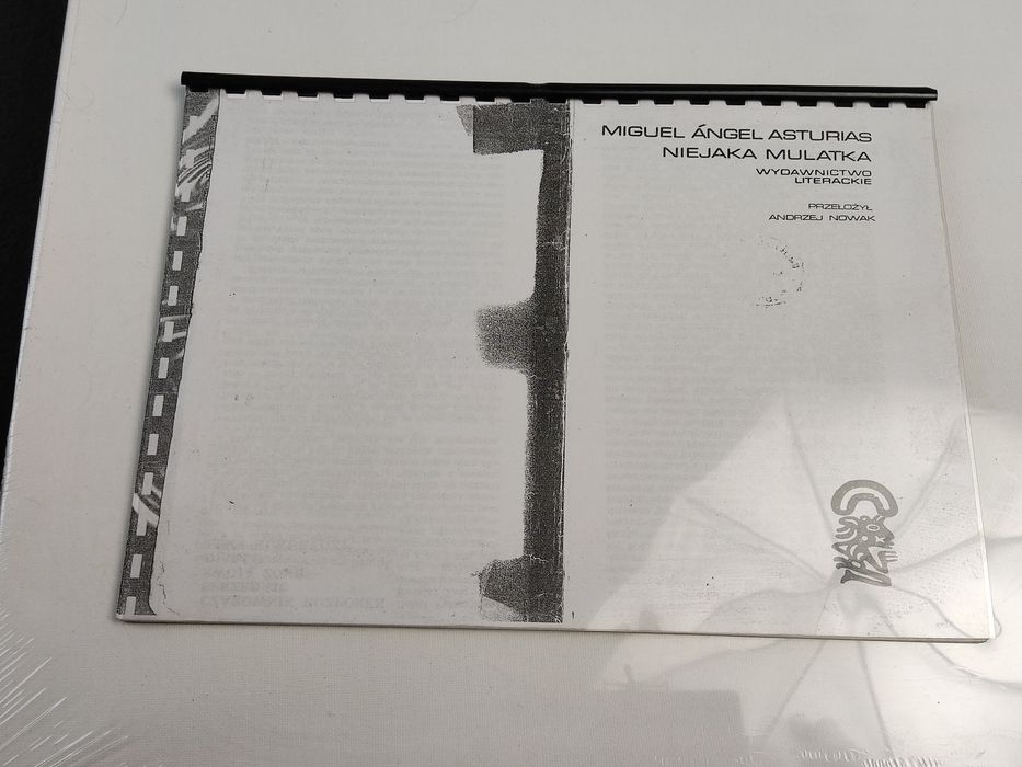 Skrypt/Fragmenty książki ''Niejaka Mulatka"'