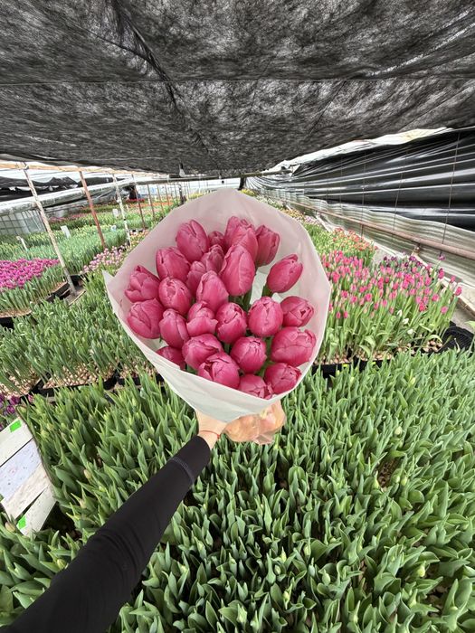 Квіти Оптом !приймаємо замовлення до 8 березня!