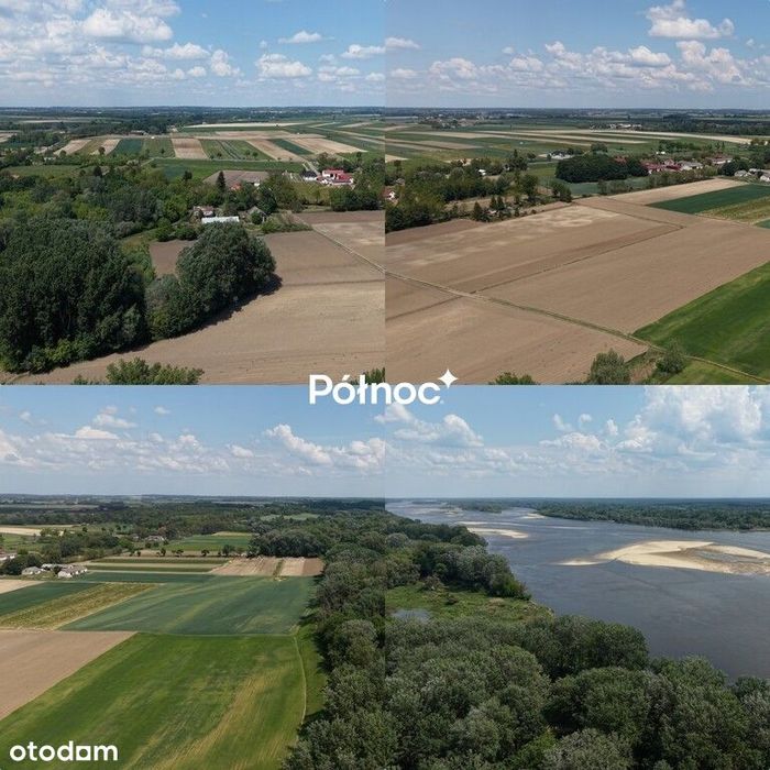 Siedlisko 15ha linia brzegowa Wisły, 65 km od WAW