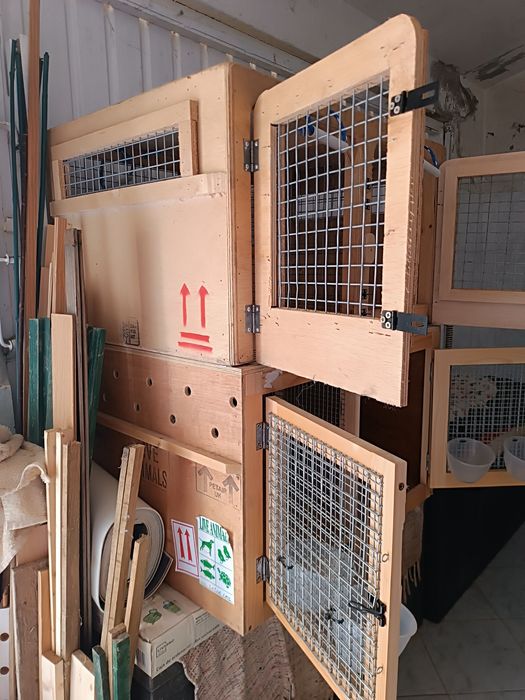 Transportadoras para cães pequenos, gatos ou outros animais pequenos.