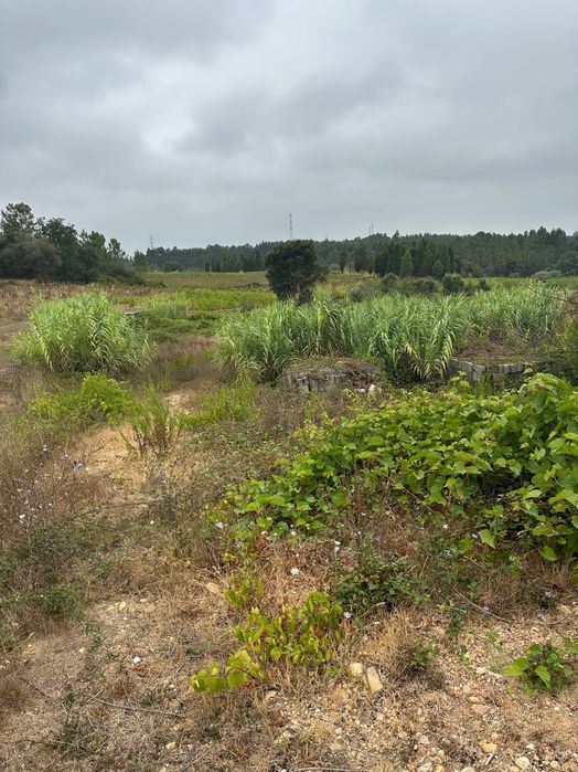 Terreno a venda em mogofores