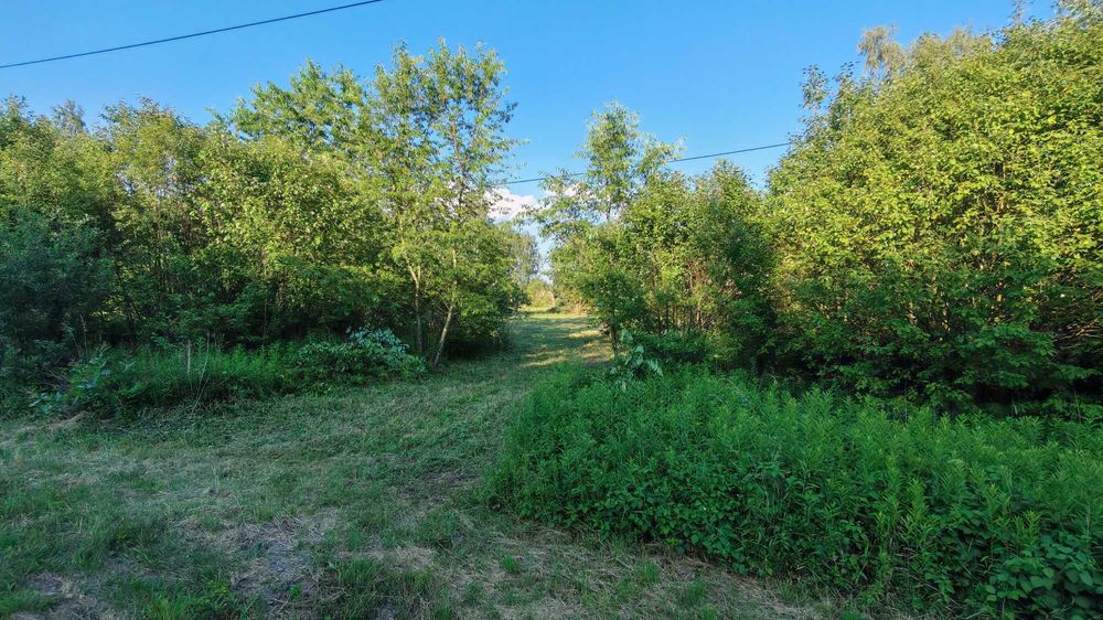 Działka inwestycyjna 55 arów przy DW 984 | 140m frontu | MPZP: U/MN | Partynia - Widok 2