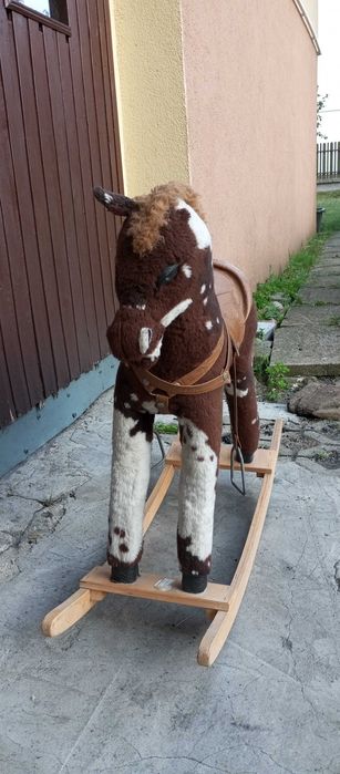 konik na biegunach