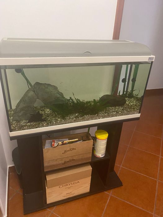 Aquário 120L 80x40x30