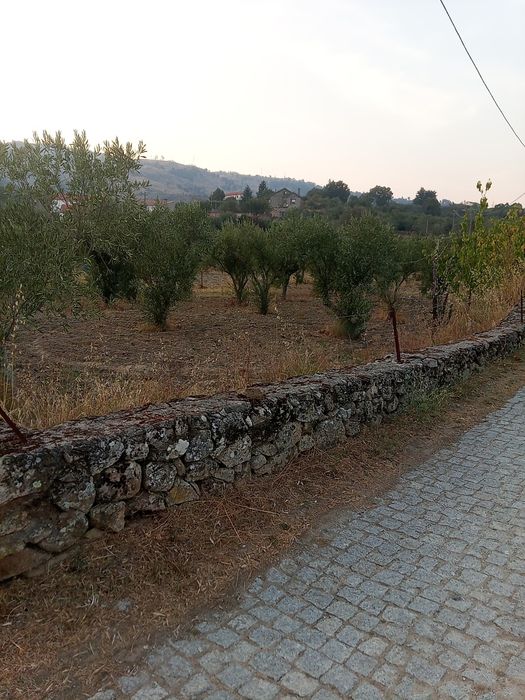 Venda de propriedade Freches (entre Celorico e Trancoso
