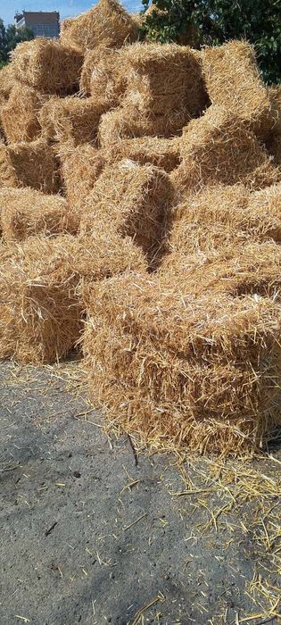 Продам тюки пшеничної соломи.Самовивіз.