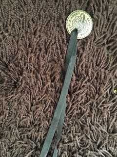 colar preto com moeda dourada