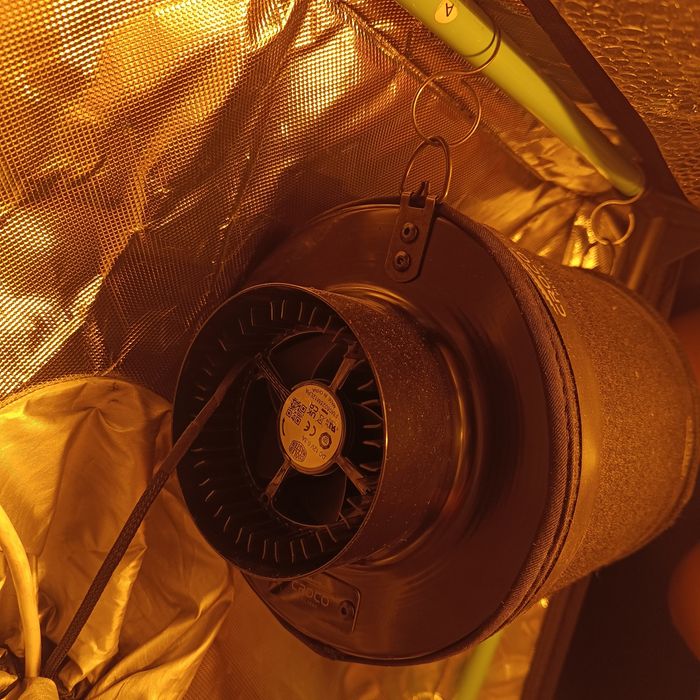 Growbox herbgarden zestaw gotowy do uprawy